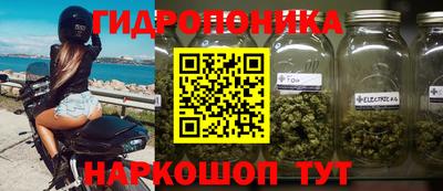 бошки Кинель