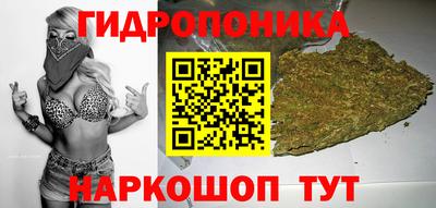 бошки Кинель
