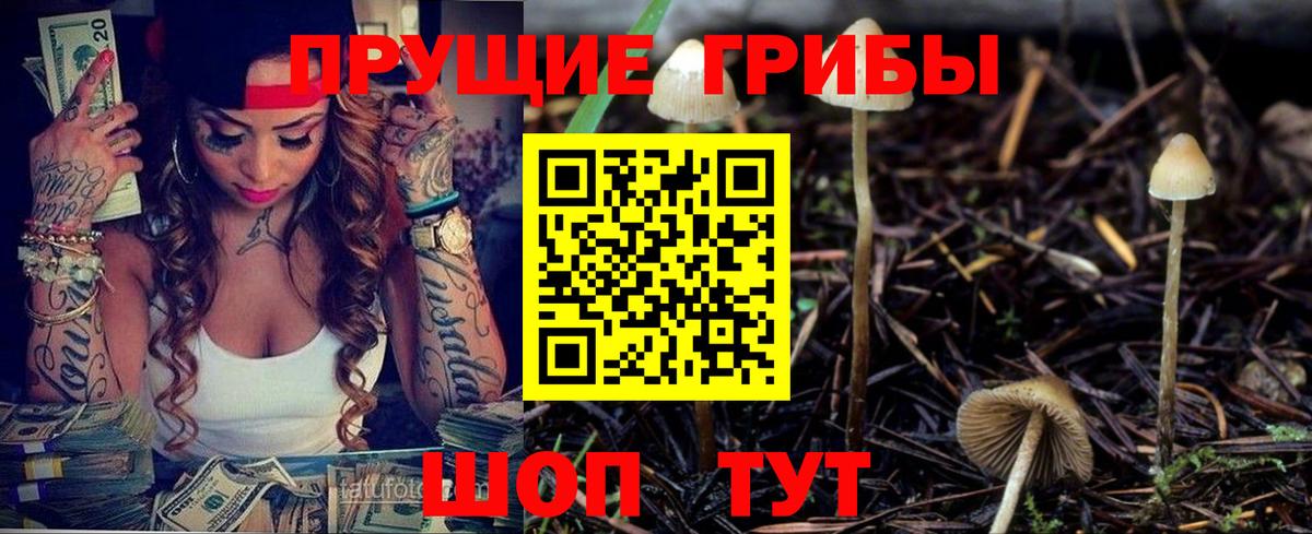 Псилоцибиновые грибы мухоморы Кизилюрт