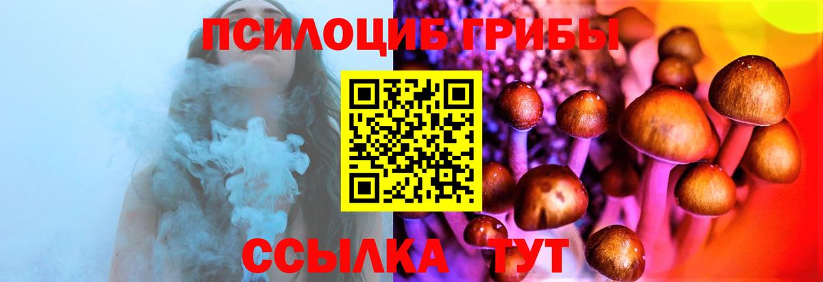 Галлюциногенные грибы прущие грибы  Вход с VPN  Кизилюрт 